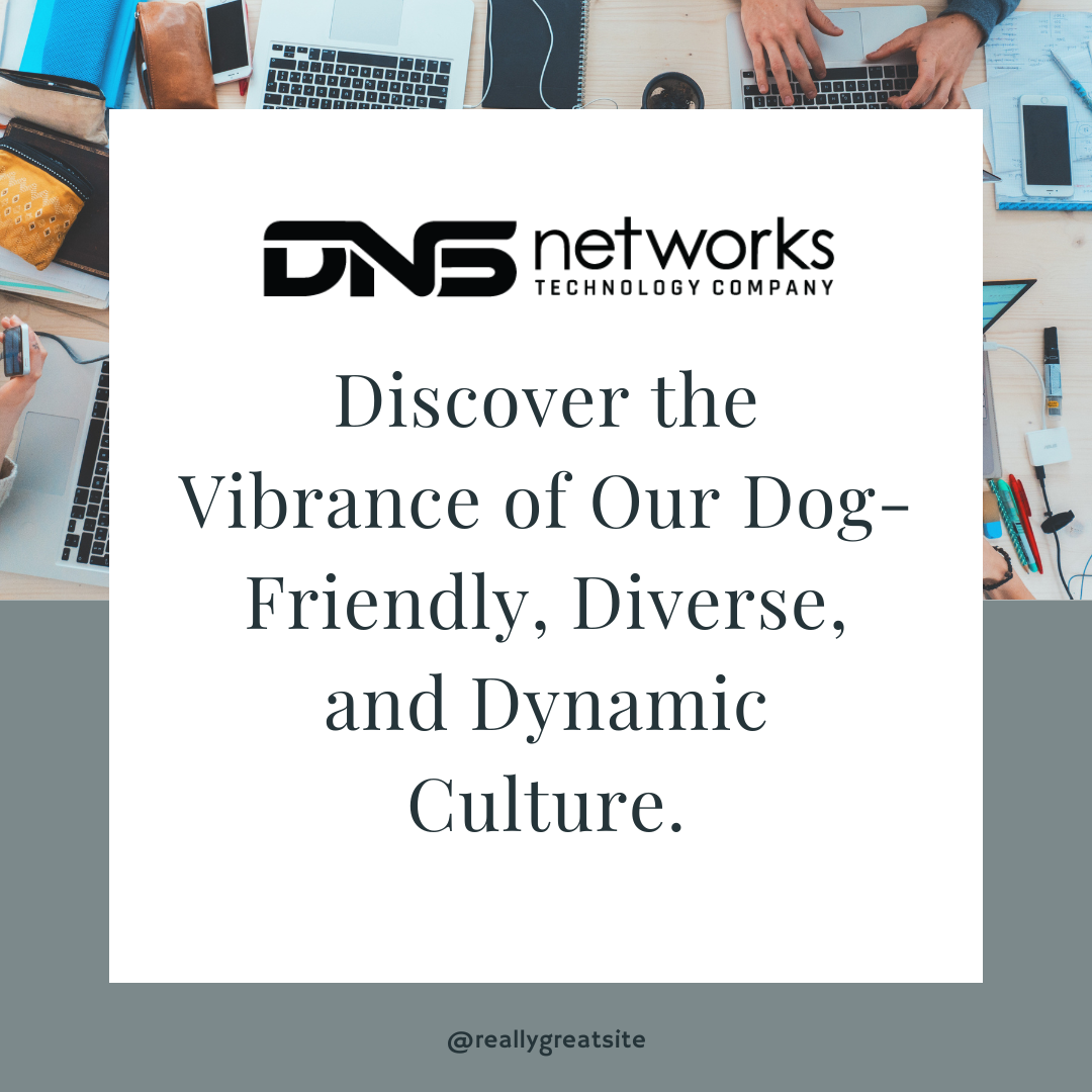 Culture at DNSnetworks technology company